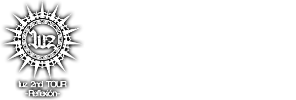GOODS INFORMATION
